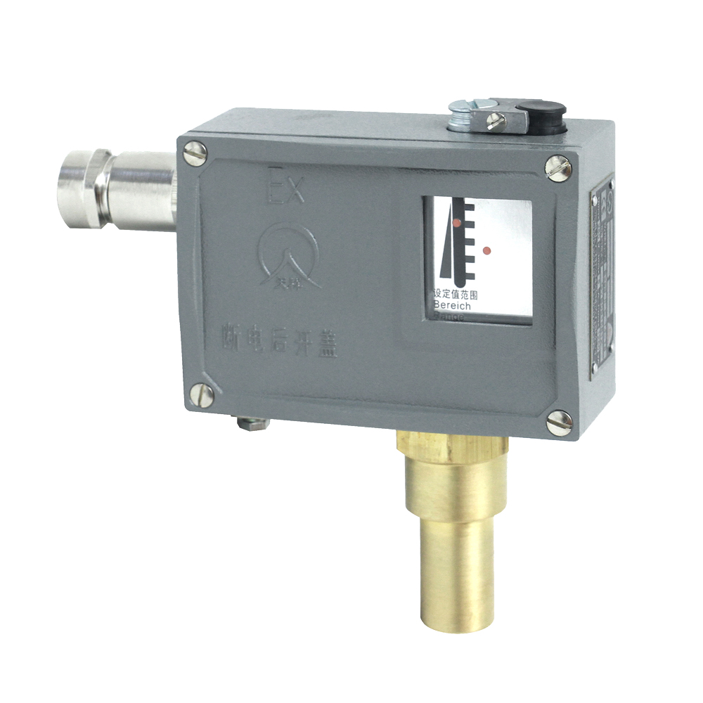 505/7D防爆壓力開關 505/7D防爆壓力開關